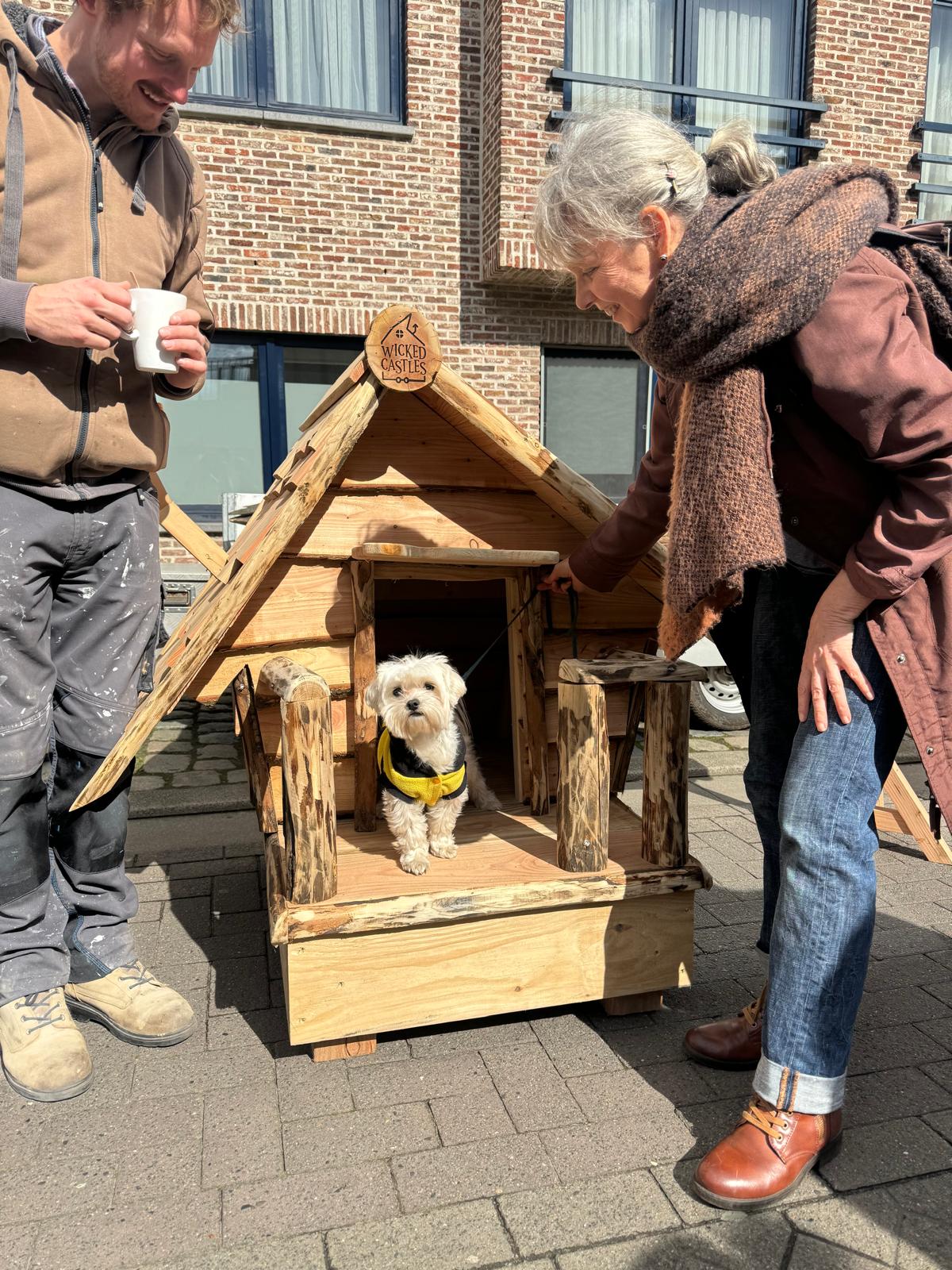 Hondenhok met witte hond in gevelde jas