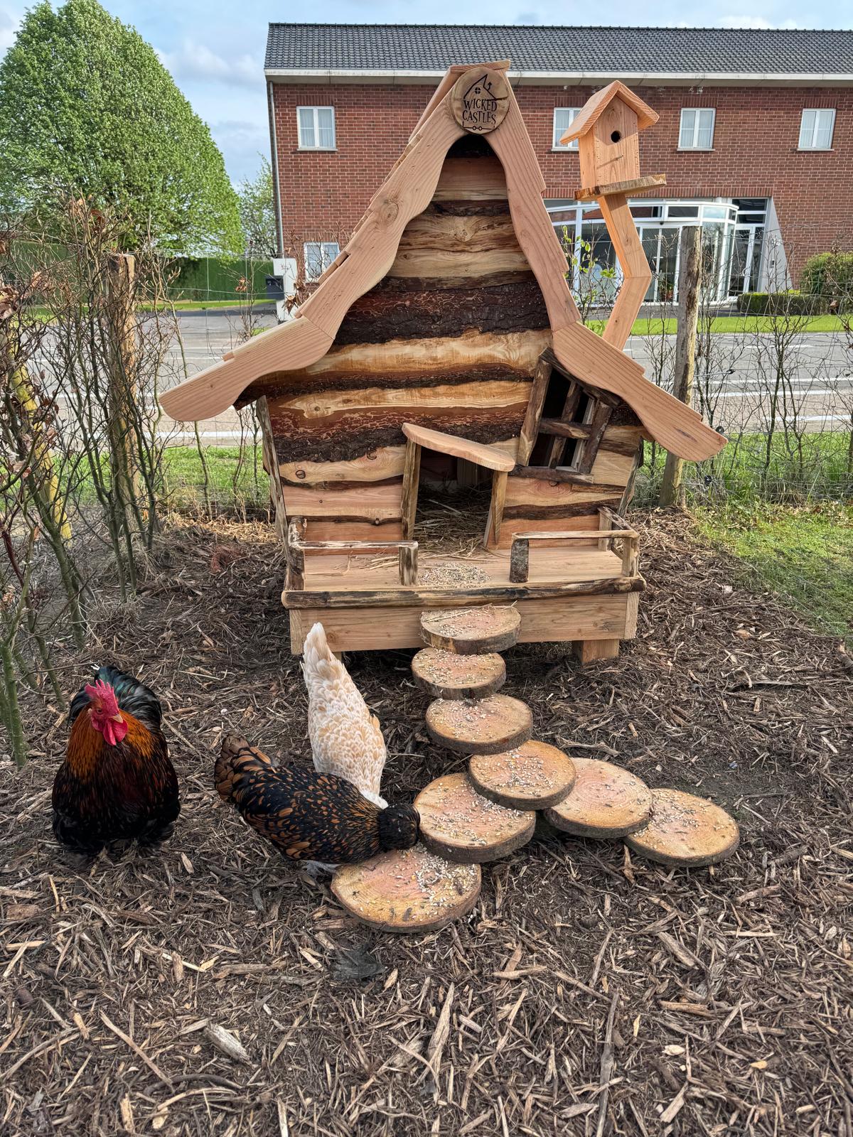 Grote kippenvilla in een tuin